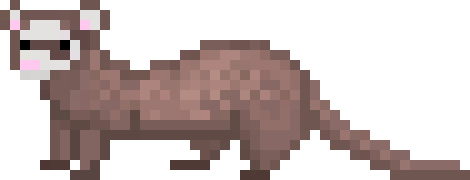 [2bfb86] ferret_2
