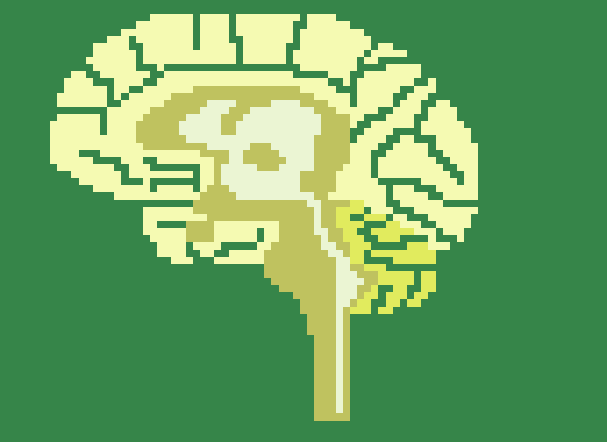 [652054] Lateral Brain