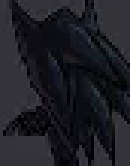 [082edb] why the walls, and not my bed instead?