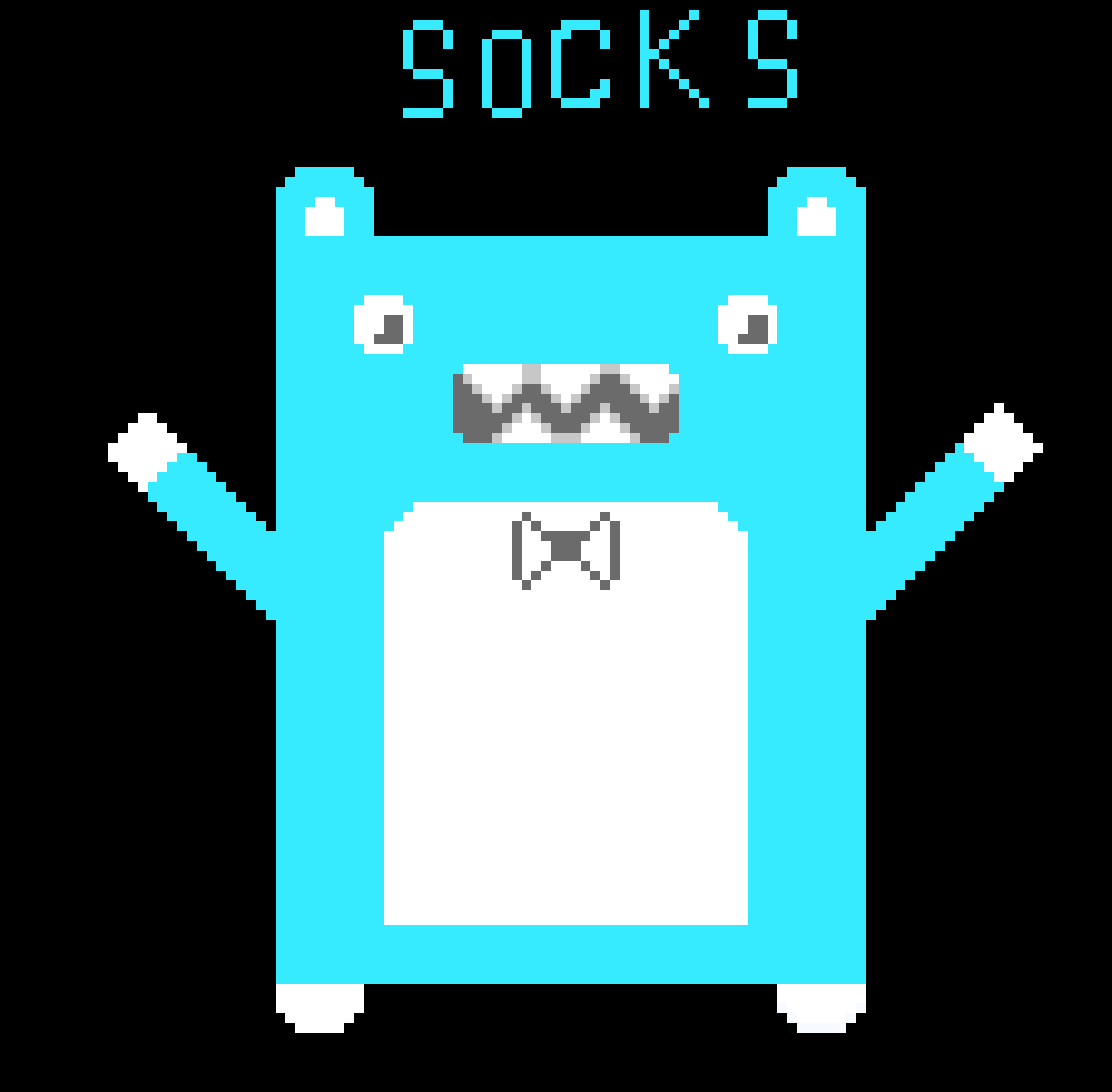 [9664c4] Socks