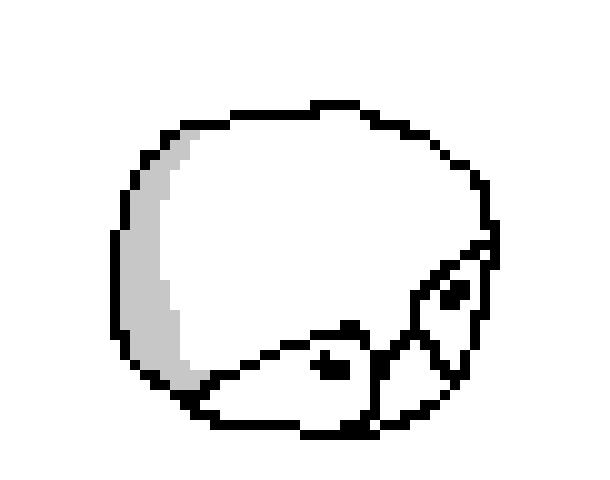 [83d3eb] important question