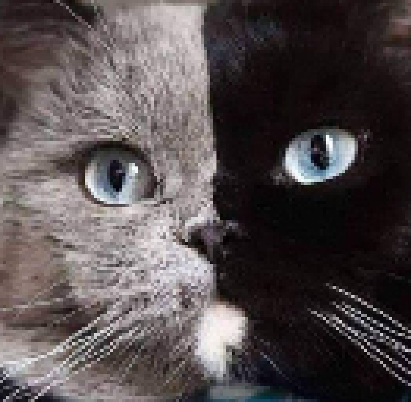 [d0027a] hi guys its oreo but cooler B) -Oreo