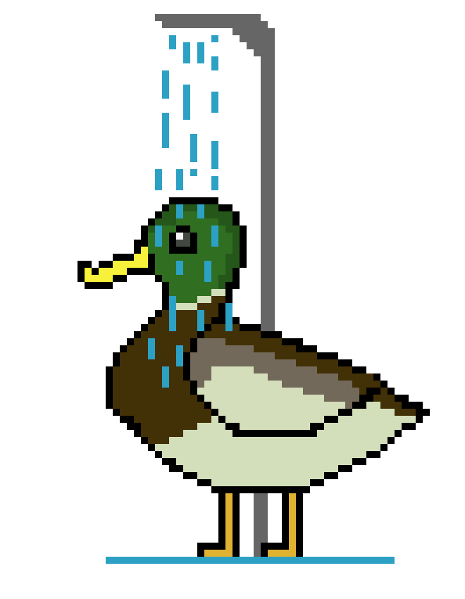 [d4c1ee] Duck Shower