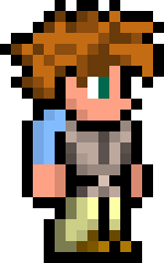 [5c5160] Terraria Player