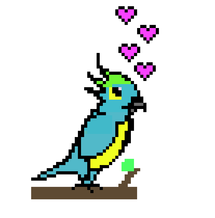 [d84304] A loving parrot