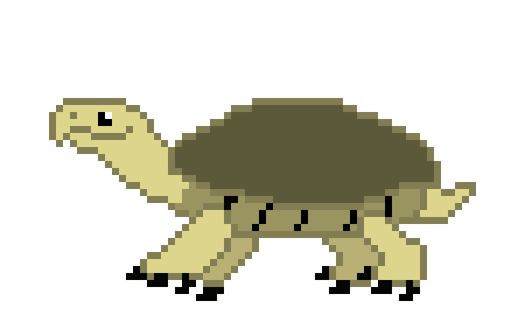 [ecb9e7] My Turtle Luum