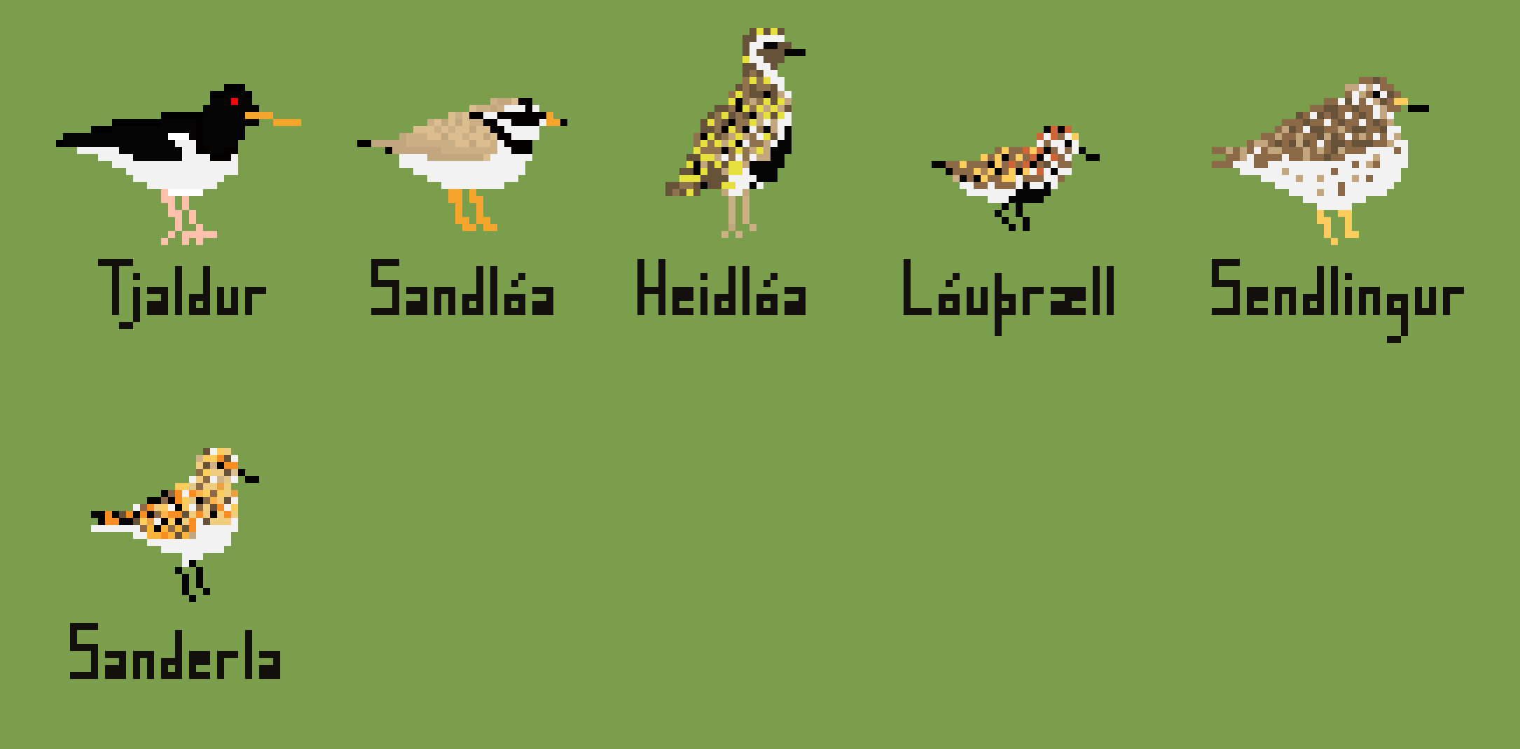 [a346bd] Fuglar22042020