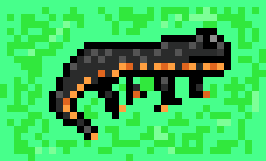 [4f96ef] Bruce The Newt