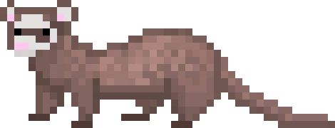 [2bfb86] ferret_1