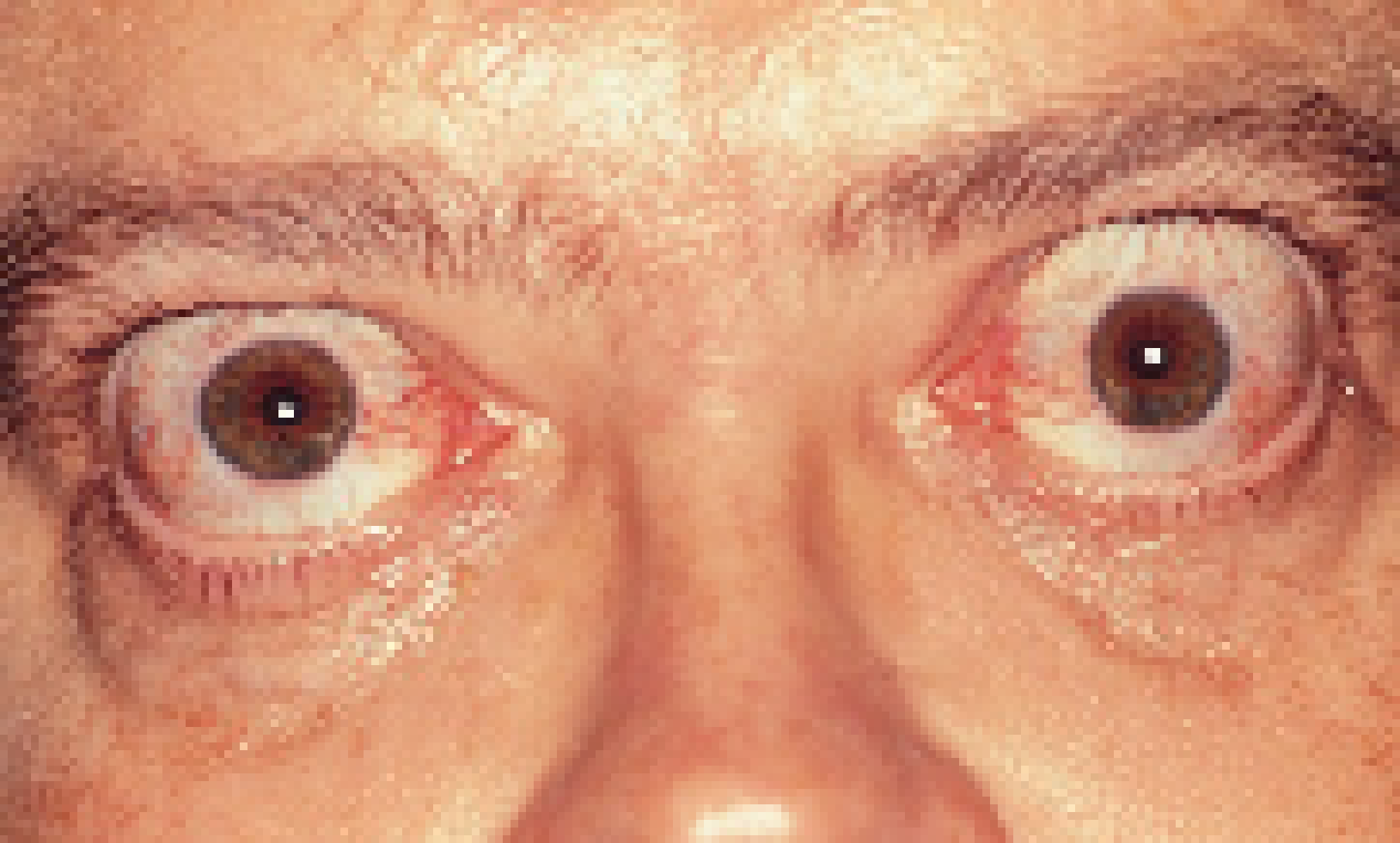 [6b9d15] tho, i may ask. cookie, do you mind sending me a reference of you or one of your characters?