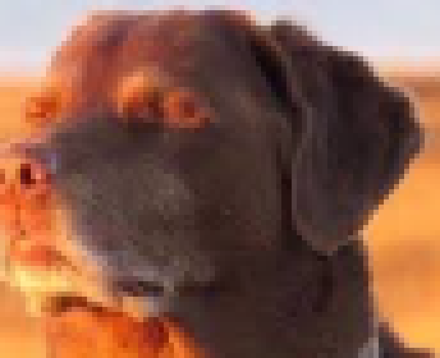 [cc2286] nevermind that's the one my bad i thought you were talking about HER