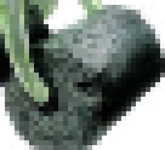 [990543] (Someone approach the big stones and then prepare to flee in fear)