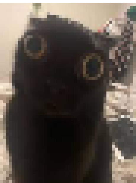 [35dc76] urh,..,. i wanna uno,..,.,.,