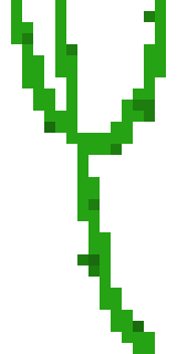 [aa43a6] Vine (Type 2)