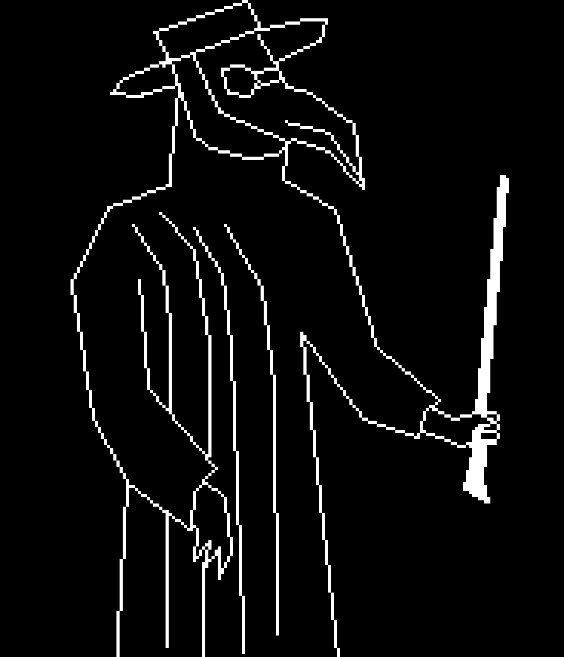 [843b57] Plague Doctor -John