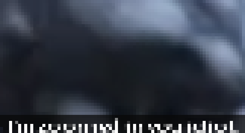 [d90b0f] "I'm zoomed in, you idiot." 