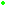 [9664c4] Green Dot Bigger