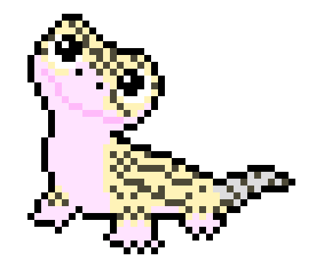 [05e6c3] Turkey the Leopard Gecko