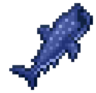 [c070e3] whale shark