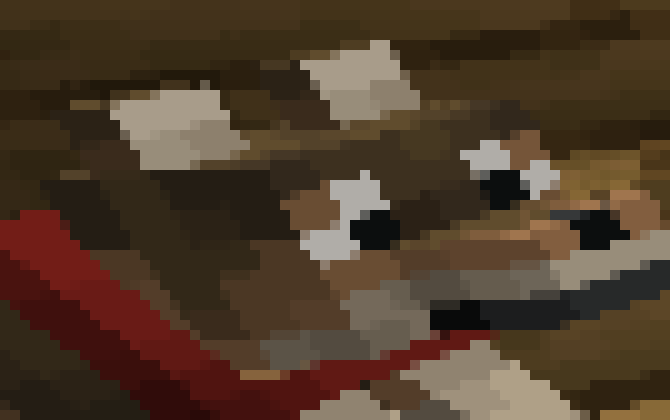 [35dc76] you try to kill them then get fucking MAULED because theres gonna be 87 of them