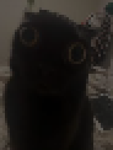 [35dc76] *fade to black*