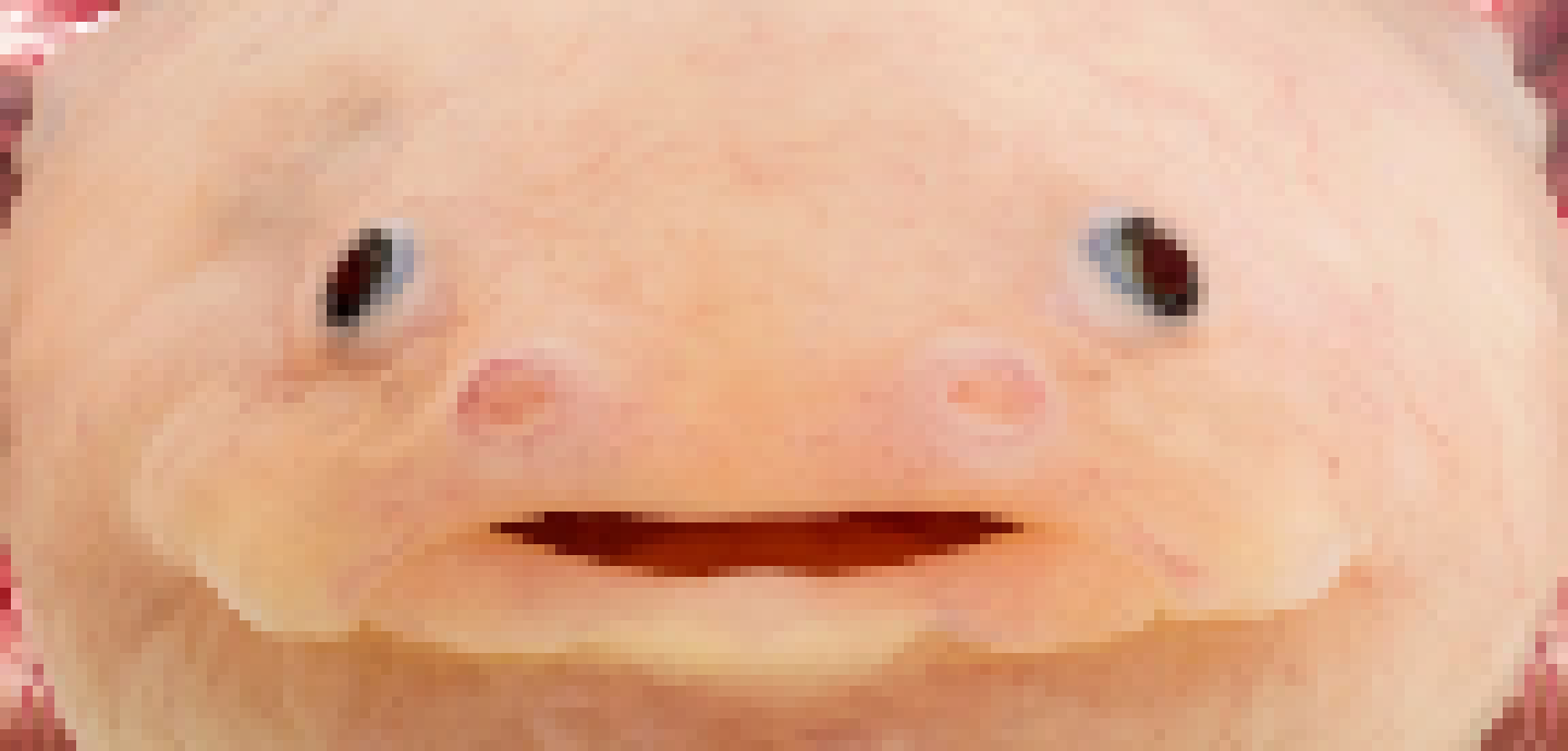 [f85aa2] Y'know, I've been wondering... Do I need a therapist?