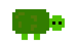 [1ab586] turtle 