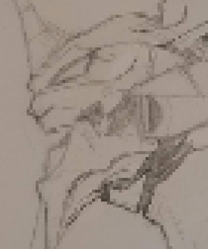 [1cf99b] Pookie!!1!! :3