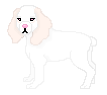 [9664c4] Vedette Full Pixel