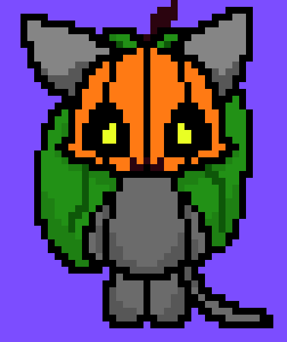 [9664c4] Pumpkin Cat