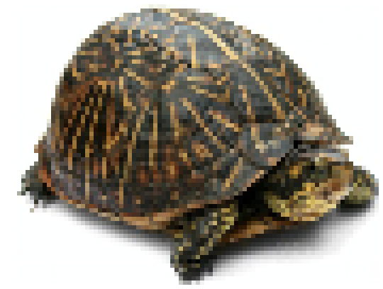 [9ce148] (*what the fuck)