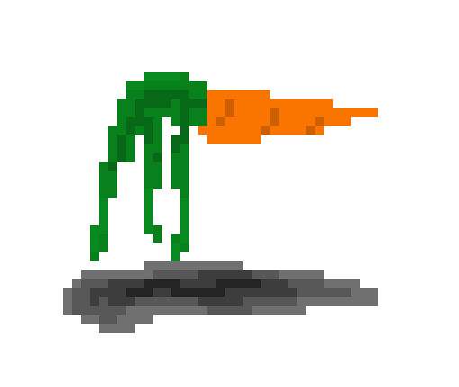 [80428d] carrot