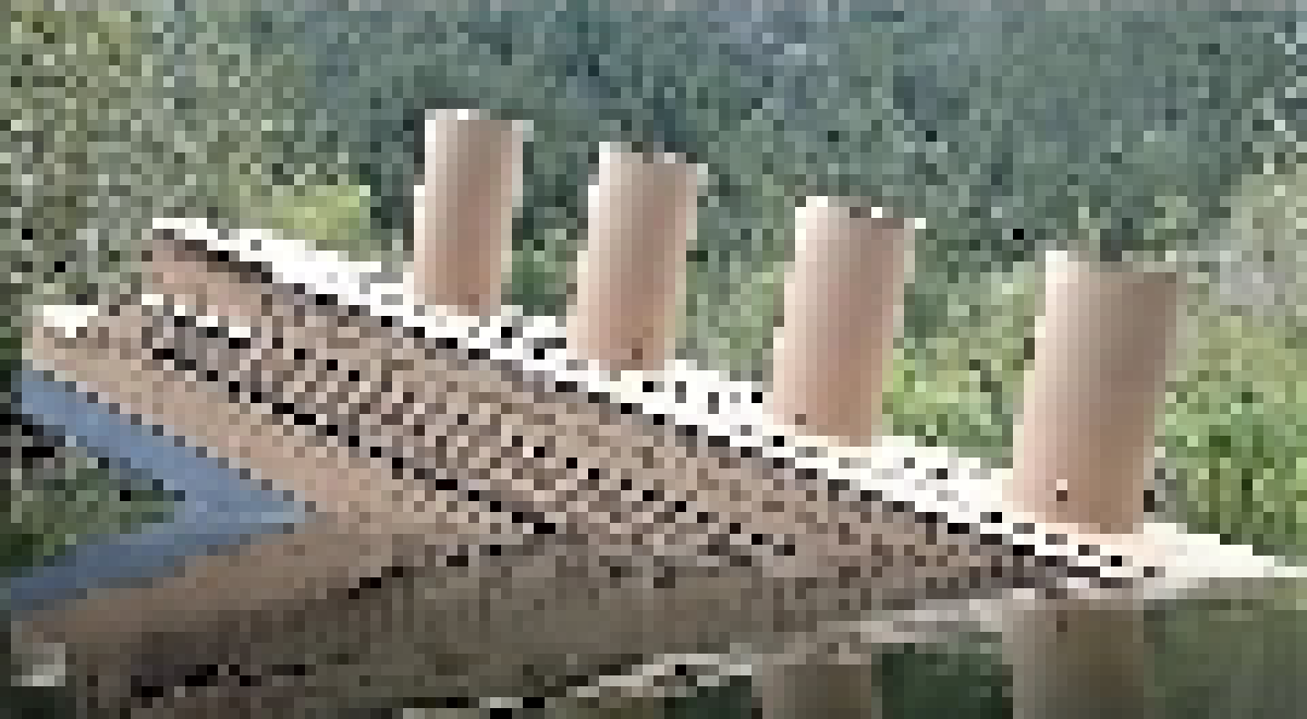 [c33313] Cardboardia