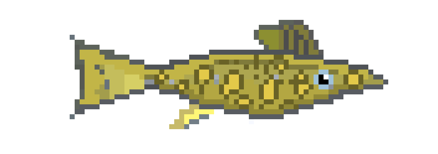 [650301] Tiger Trout