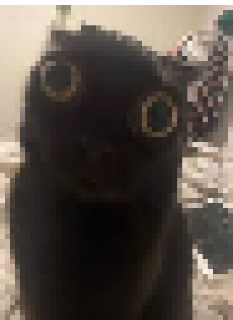 [35dc76] losers, just code your game completely from scratch like a REAL MAN (i say while knowing next to nothing about coding)