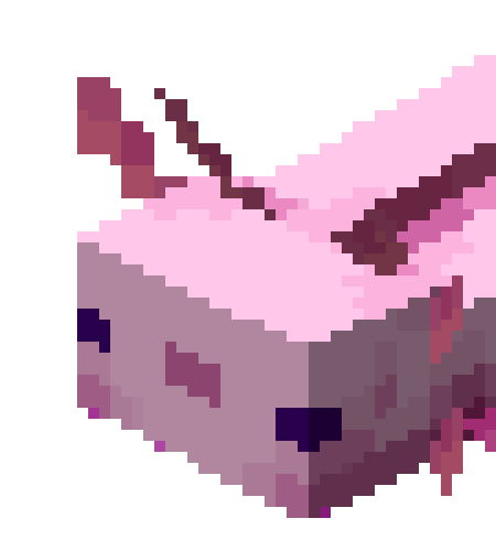 [f85aa2] Do you like axolotls btw