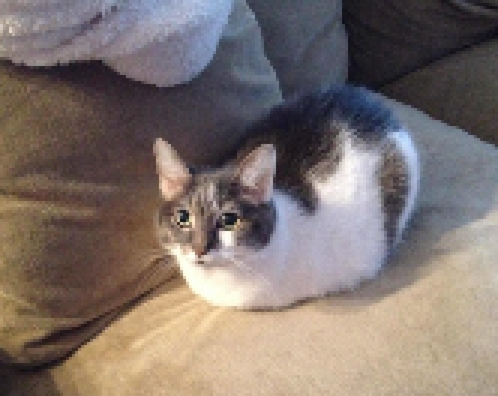 [9ce148] (*walks into the store and sees the 14 foot tall undead abomination doing this on the counter)