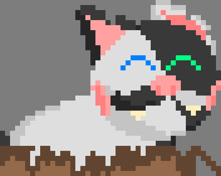 [d0027a] ¨i can just relax and just not be in a fight. i get all the peace and quiet.¨ *she layed down in her box-Oreo