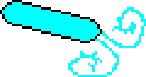 [5c3915] prokaryote1