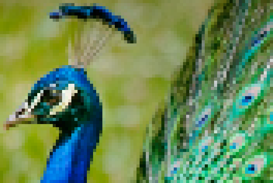 [acbc50] https://www.youtube.com/watch?v=UT9-A5Jddww