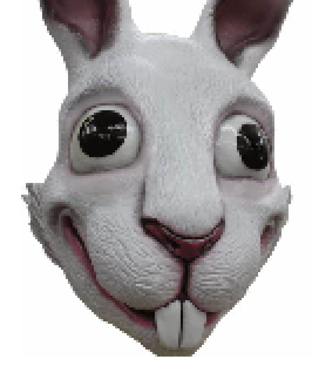 [c412a2] hello ollie!