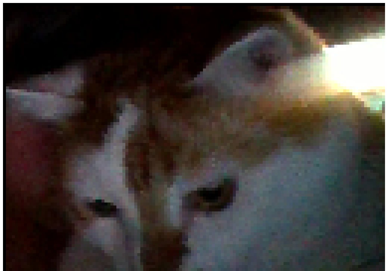 [4fbda4] fat cat chester- Evan