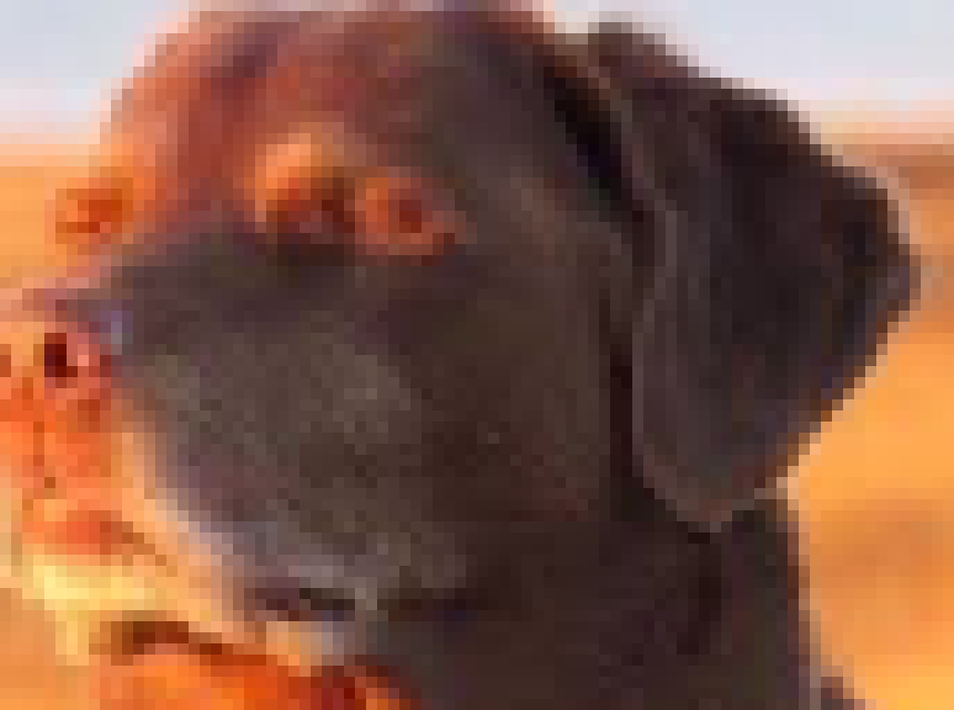 [a38274] random but my fingers smell like that duck sauce chinese restaurants give you with your food for some reason. my hungry ahh