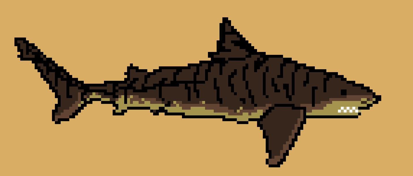 [6bf841] *Swimming around* -Tiger Shark