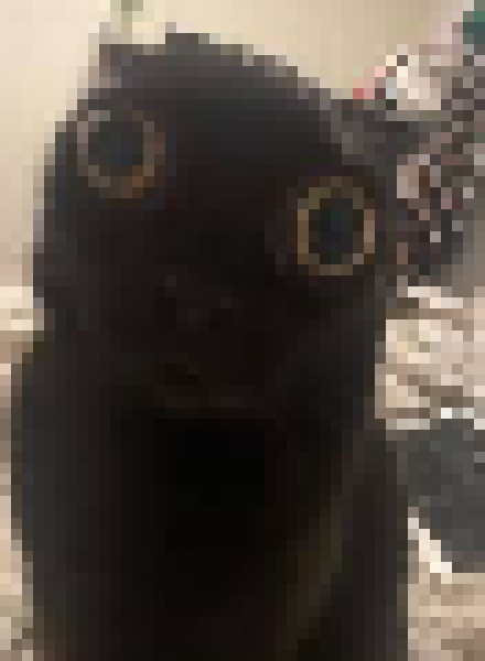 [35dc76] the whiteboard is like buffering for me it wont load hel