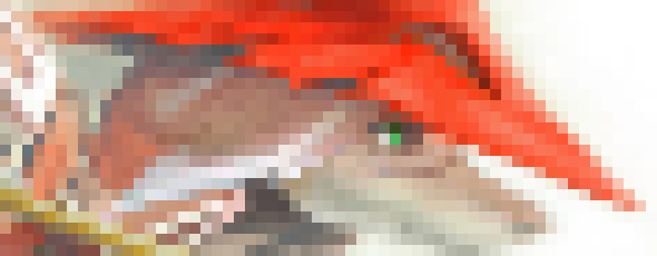 [bf84a0] Who wants to gnaw on human bones? -Meepsworth