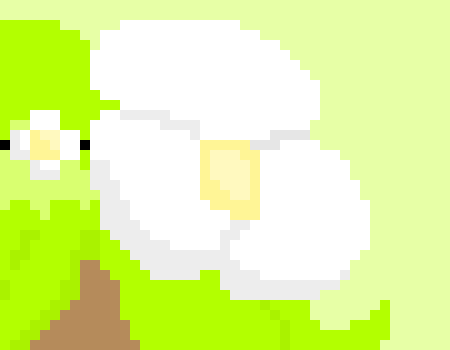 [49016e] Tell tomkat it's nice if you know. this is amalia from wakfu-rei