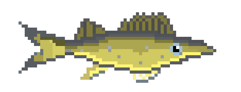 [650301] Walleye