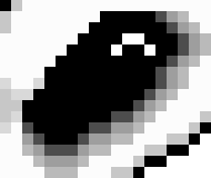 [98772d] ...your efforts won`t be in vain.