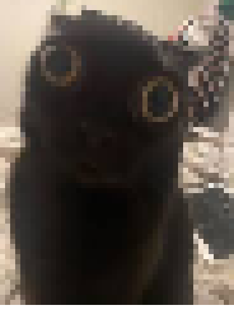 [35dc76] vro doesnt know michael jackson